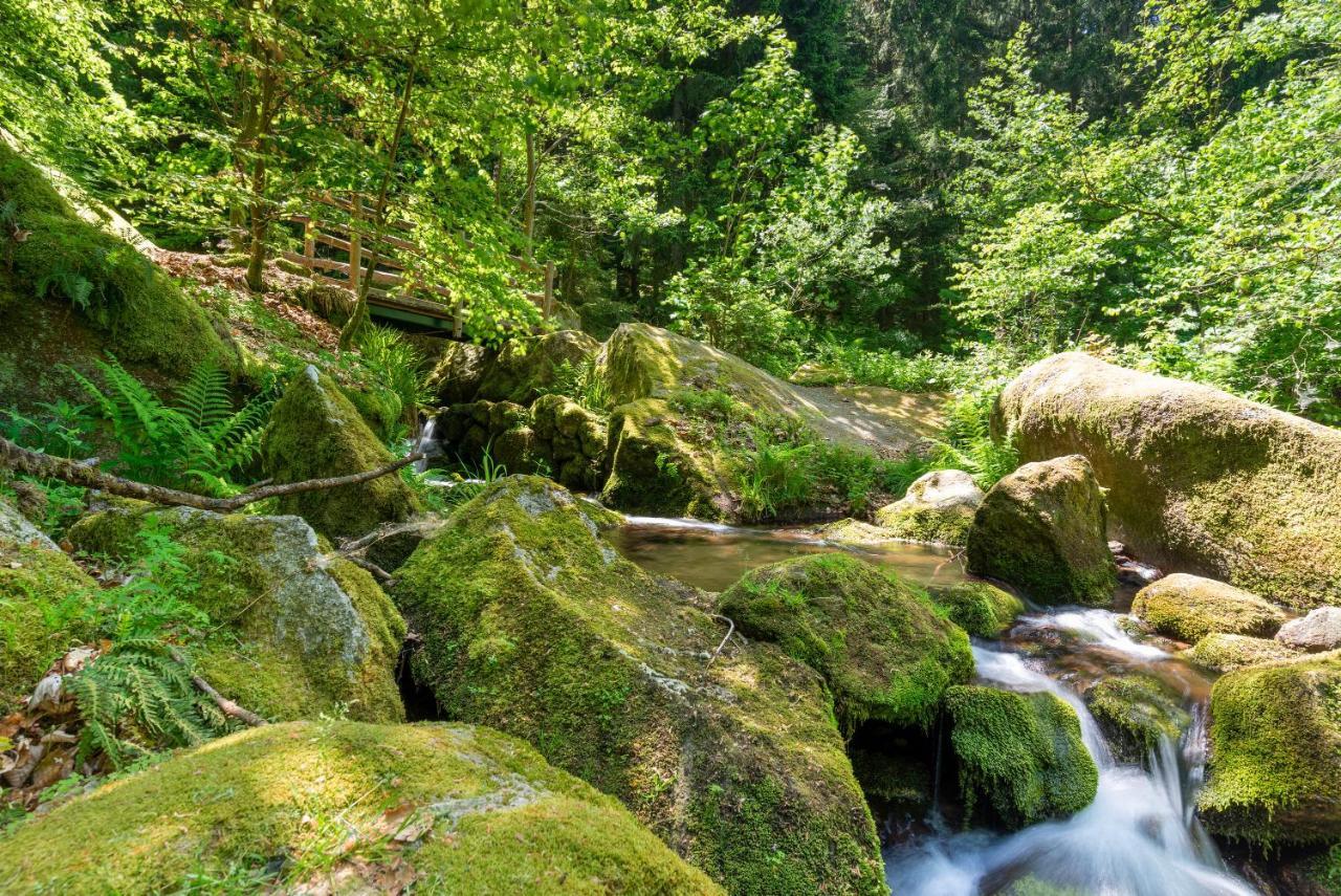 Merzel'S Schone Aussicht Bühlertal Exterior foto